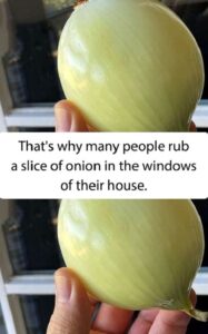 Rubbing Onion Slice on Windows