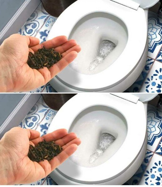 Getting Rid Of The Smell Of Urine In The Bathroom