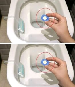 Dishwasher Tablet In The Toilet