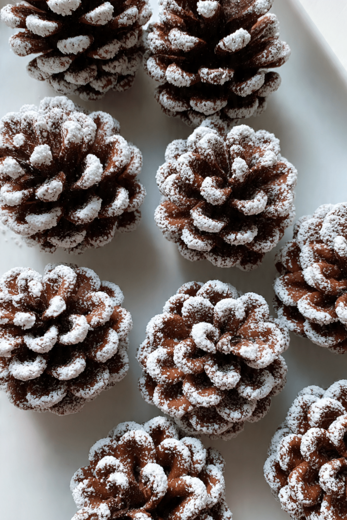 Snowy Oreo Pine Cones
