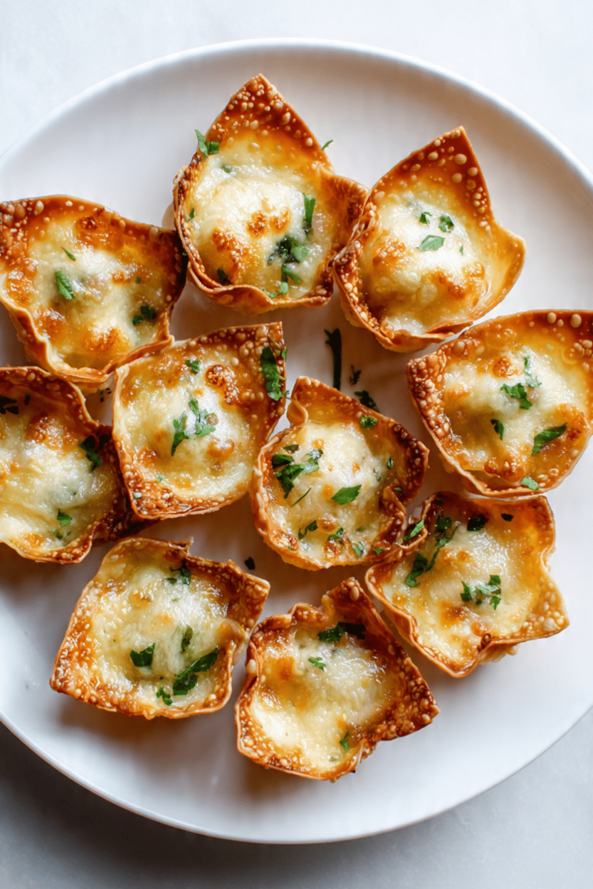 Southwest Cream Cheese Wontons