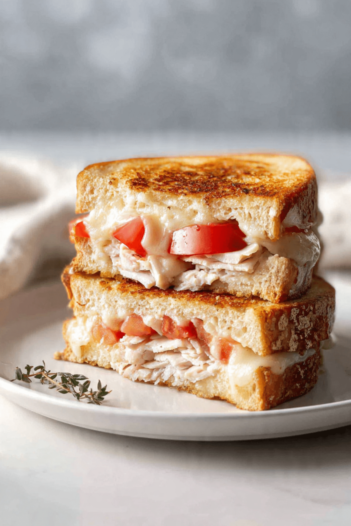 Turkey melt