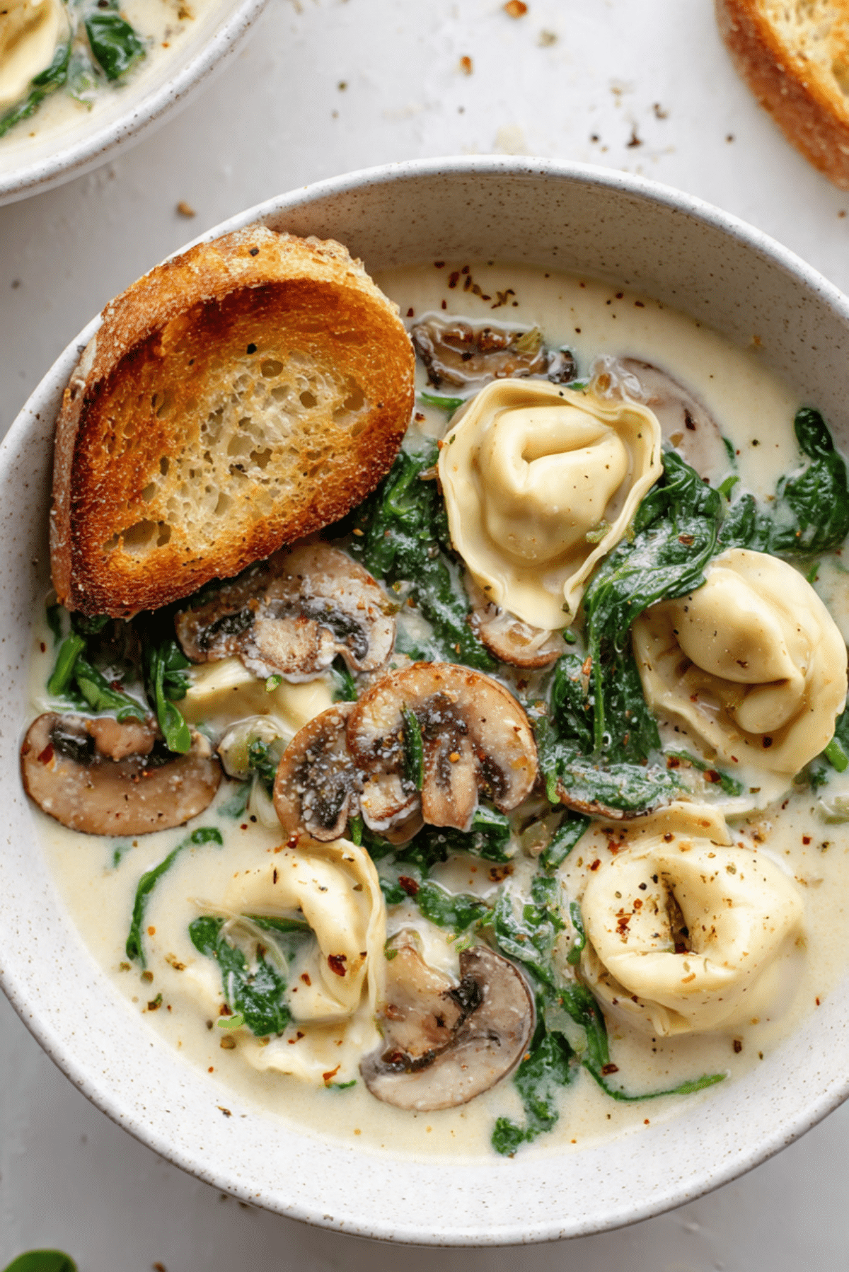 Creamy Mushroom + Spinach Tortellini Soup