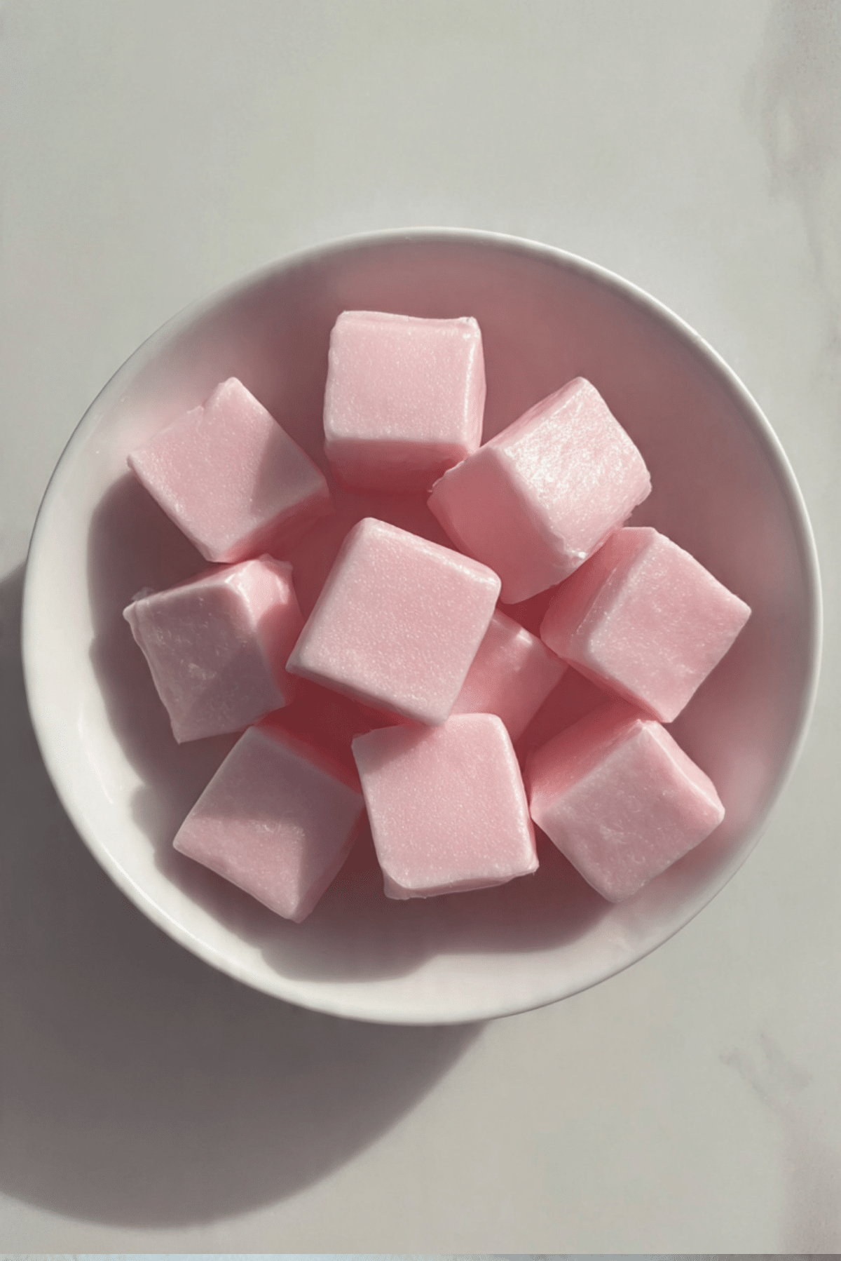 Homemade Bubblegum