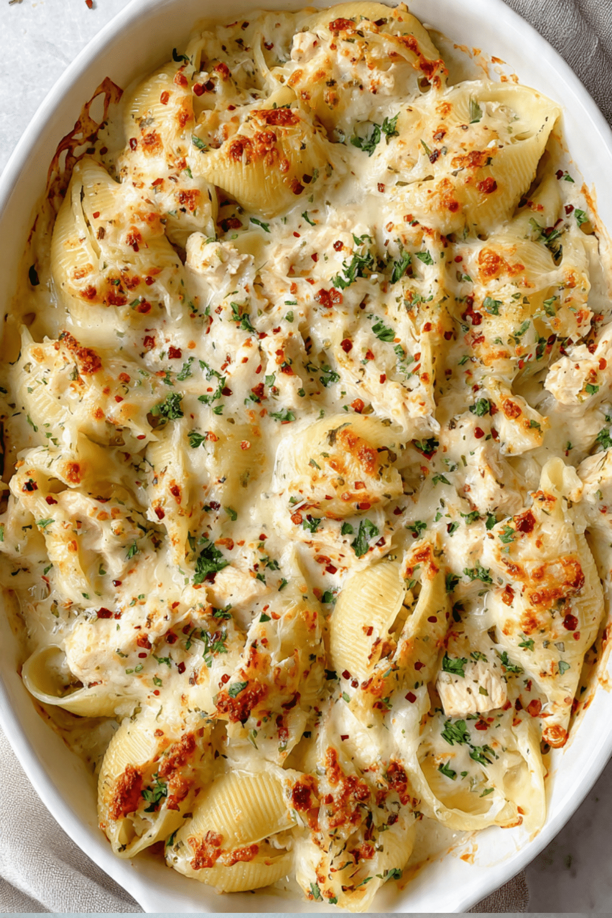 Chicken Alfredo shells